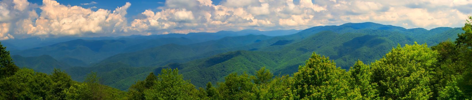 USED webpage images-Canva-trees-mountains-Product Emissions USED webpage images-Canva-trees-mountains-Product Emissions